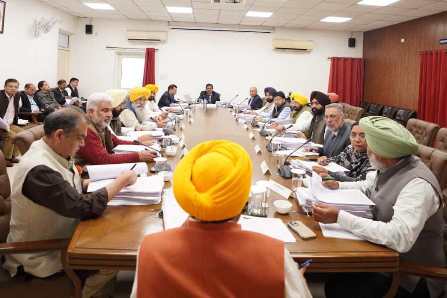Punjab Cabinet