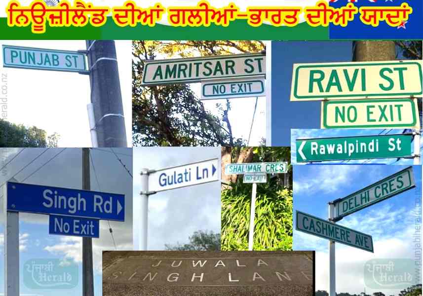 Punjab In Nz