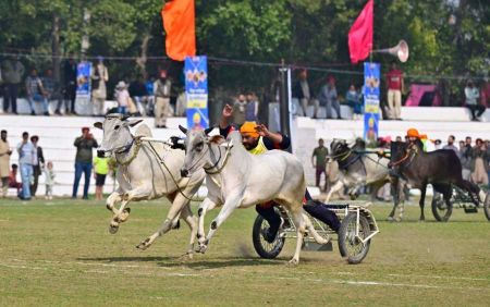 Qila Raipur Games