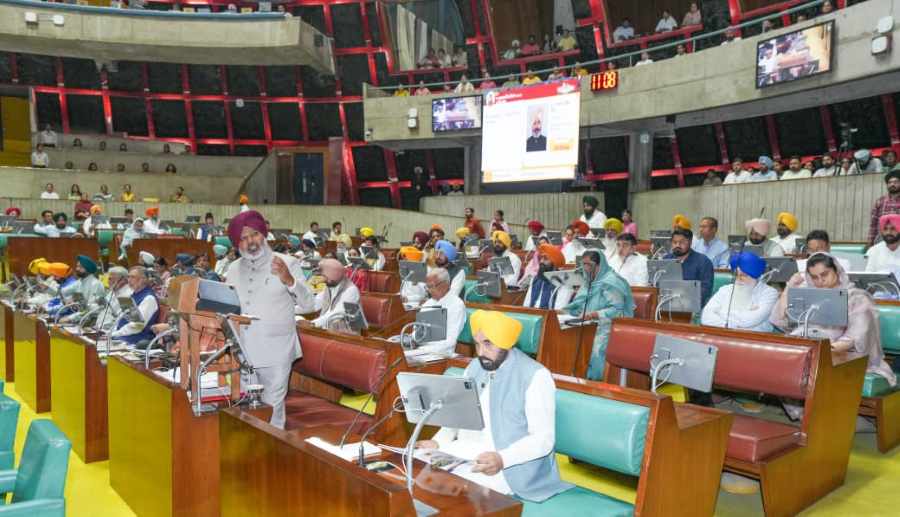 Cheema Punjab Budget 2026